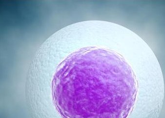 金华办三代试管婴儿哪家医院比较好擅长什么技术？